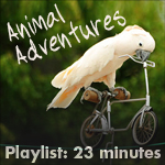 Animal Adventures Playlist